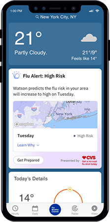 Flu Insights