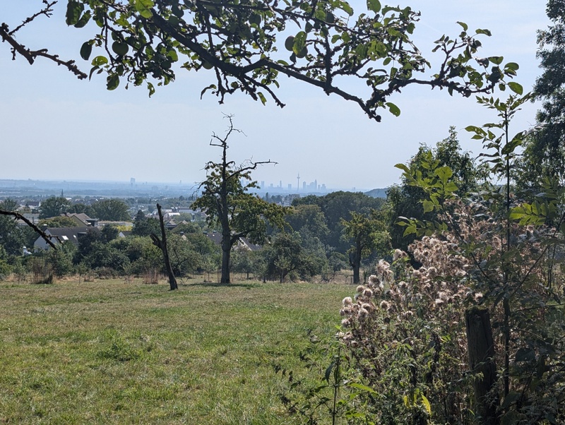 Afbeeldingslocatie: https://tweakers.net/i/JML_PBCFxd0jo8G6bvnck0EtWzw=/800x/filters:strip_icc():strip_exif()/f/image/kxIK35IX5p77DY0d3nG0vFWF.jpg?f=fotoalbum_large