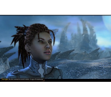StarCraft II: Heart of the Swarm, Windows