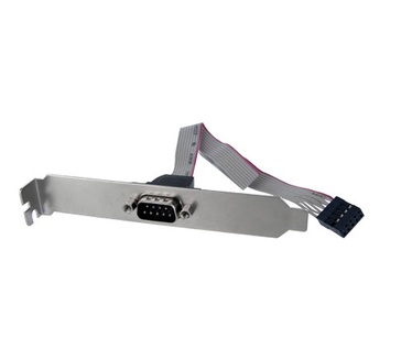 Startech.com 9-pins Serieel Mannelijk naar 10-pins Moederbord Slotplaat Adapter