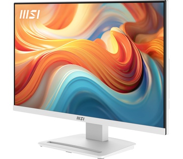MSI Pro MP241W E14V