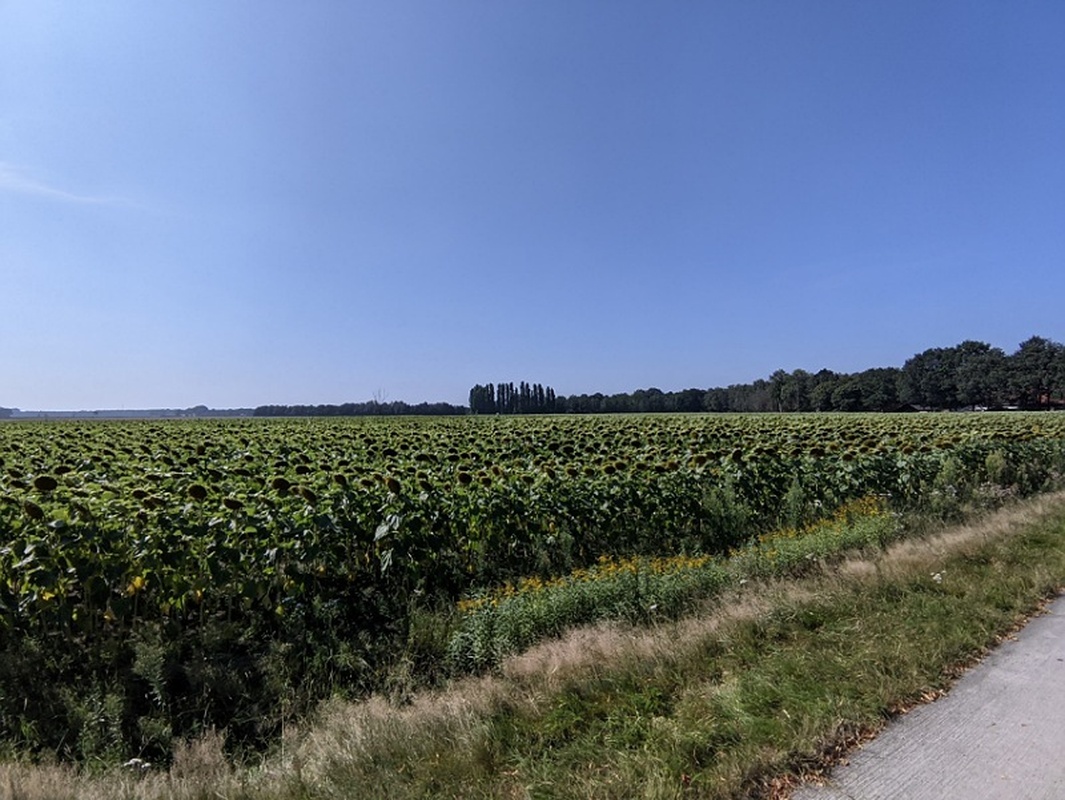 Afbeeldingslocatie: https://tweakers.net/i/JP1rrnTfnOsDdUptUQKGEcys7cA=/full-fit-in/4920x3264/filters:max_bytes(3145728):no_upscale():strip_icc():fill(white):strip_exif()/f/image/LLTvSDLAxA44OJBsyr6JBjYo.jpg?f=user_large