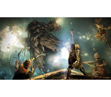 Dragon's Dogma: Dark Arisen, Switch