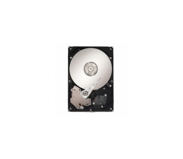 Maxtor DiamondMax 22 STM3750330AS, 750GB