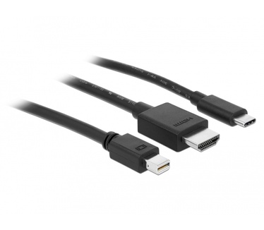 Delock 85830 - USB-C HDMI oder mini DisplayPort zu 4K Adapterkabel 1.8 - Digital/Daten - Digital/Display/Video