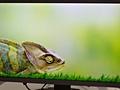 Viewsonic VP3280 met 4k2k-resolutie