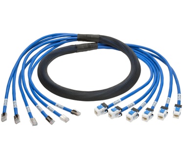Tripp-Lite Cat6/Cat6a, 10ft Blauw