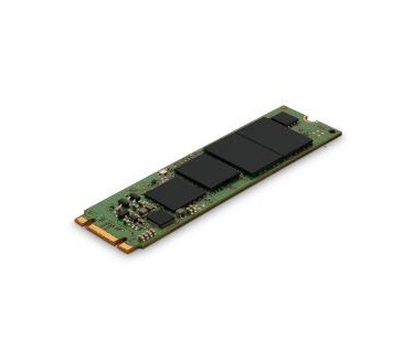 Micron 1300