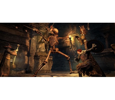 Dragon's Dogma: Dark Arisen, Switch