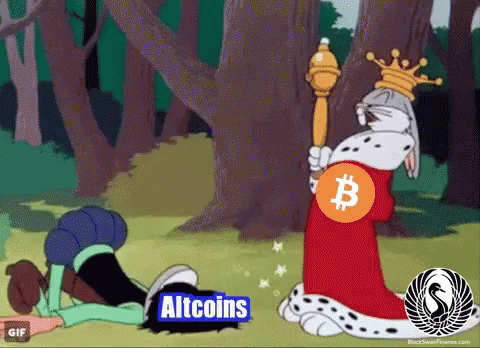 Afbeeldingslocatie: https://tweakers.net/i/Jf6BCNqFdl1cD9cITFuF8iZSQGg=/fit-in/4000x4000/filters:no_upscale():gifsicle():strip_exif()/f/image/giiVHhFpazO4zFoMflGlSBlw.gif?f=user_large