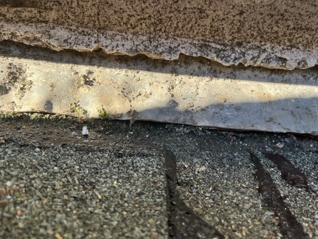 Afbeeldingslocatie: https://tweakers.net/i/JfV3-YZ-Ls_4jI5jnuyfIPrhYOU=/full-fit-in/4920x3264/filters:max_bytes(3145728):no_upscale():strip_icc():fill(white):strip_exif()/f/image/Jn4SFDFwcCAgwfbdOyoqR883.jpg?f=user_large