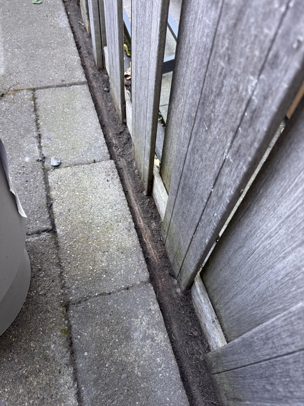 Afbeeldingslocatie: https://tweakers.net/i/JgOy4Yi6gpb7gFhaS34rDJQlYlU=/x800/filters:strip_icc():strip_exif()/f/image/ohWh6yqtEJ64X6nigdlqWi7j.jpg?f=fotoalbum_large