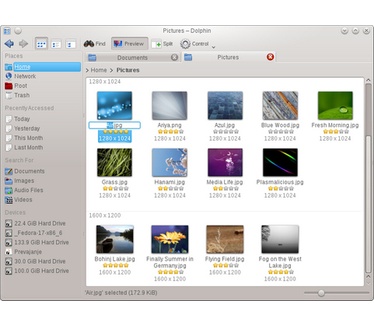 Dolphin filemanager in KDE Software Compilation (481 pix)