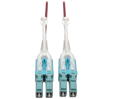 Tripp-Lite N821-01M-MG-T