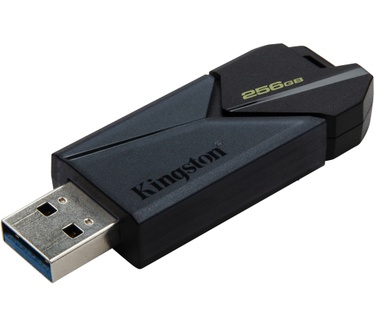 Kingston DataTraveler DTXON 256GB Zwart