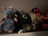 iPhone XS en XS Max fotosamples slechte lichtomstandigheden