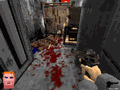 Voxelstein 3D - Luger