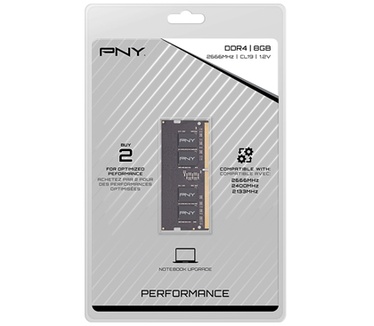 PNY MN8GSD42666