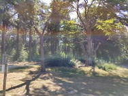 Fototest Google Pixel 6a Hoofdcamera 