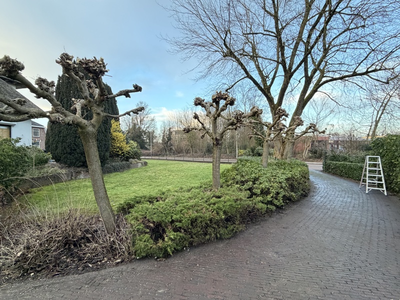 Afbeeldingslocatie: https://tweakers.net/i/JmDjO8JA1BDB4ijSEClmyNqeIeg=/800x/filters:strip_icc():strip_exif()/f/image/eJC9G19sNJedjCe7b273JLWR.jpg?f=fotoalbum_large