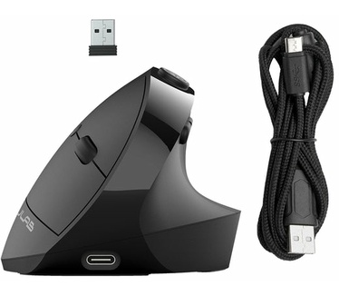 JLab JBUDS ERGONOMIC
