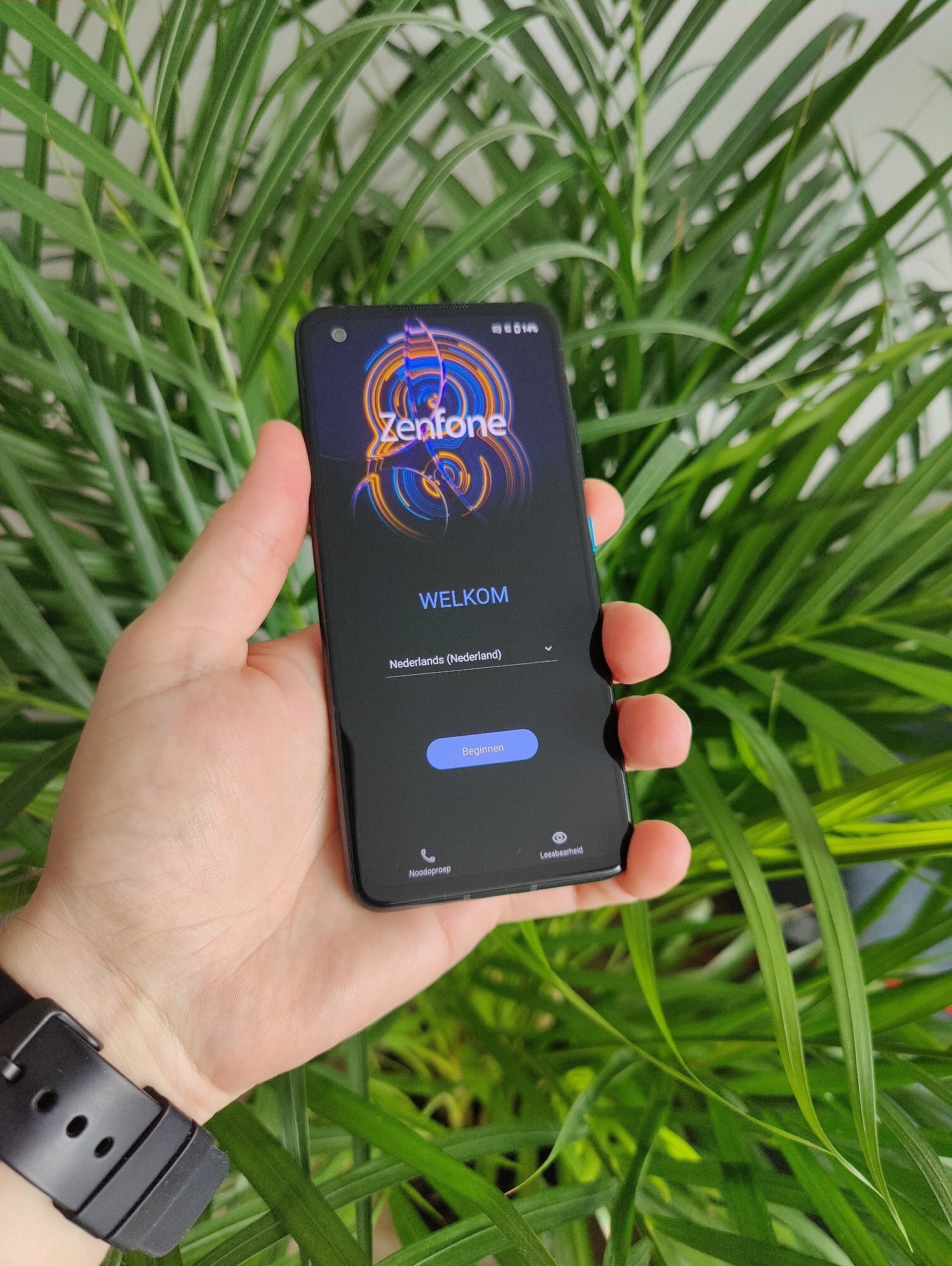 Asus Zenfone 8