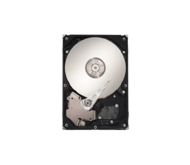 Maxtor DiamondMax 10 STM3250820A, 250GB