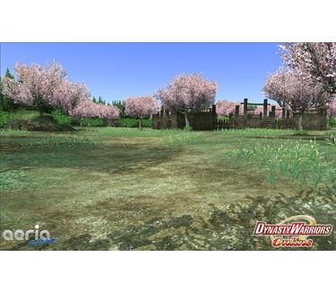 Dynasty Warriors Online