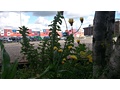 Foto gemaakt met Xperia T voor review Xperia T