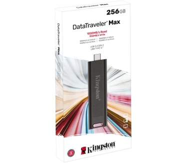 Kingston DataTraveler Max 256GB Zwart