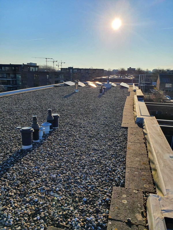 Afbeeldingslocatie: https://tweakers.net/i/Jx1-18jAopSRWmHdwG5iDetPqpQ=/x800/filters:strip_icc():strip_exif()/f/image/Q2n28IyVPWj27TI2LBln1Der.jpg?f=fotoalbum_large