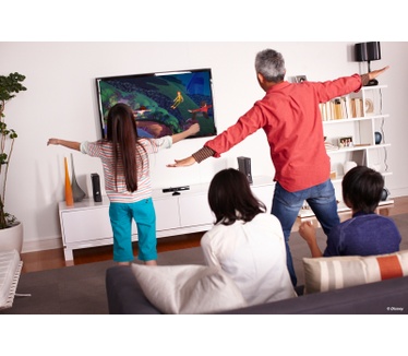 Disneyland Adventures Kinect