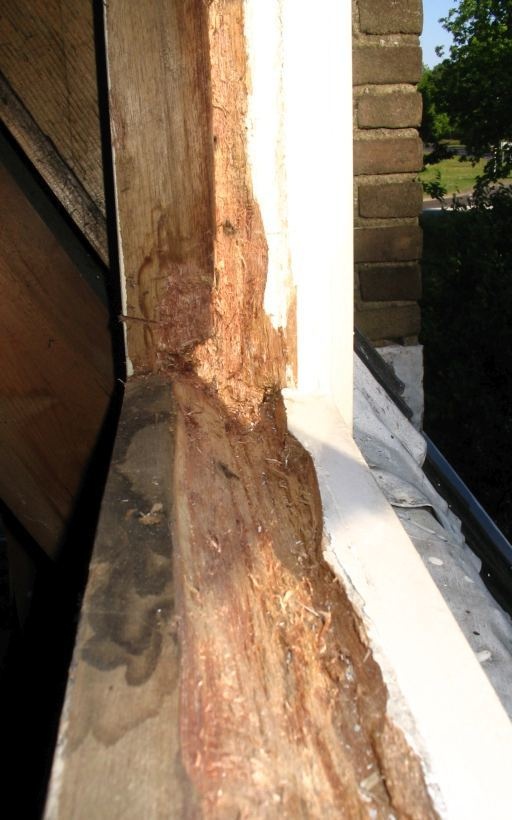 Afbeeldingslocatie: https://tweakers.net/i/JykyetHb7ExALdHarhPfE6ORfc8=/full-fit-in/4920x3264/filters:max_bytes(3145728):no_upscale():strip_icc():fill(white):strip_exif()/f/image/hqPLAAiVtcnU4eXy31dQvtKB.jpg?f=user_large