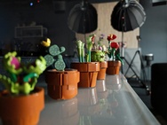 Sony Xperia 1 VIII Cameratest - Hoofdcamera weinig licht