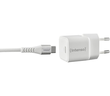 Intenso 7803042
