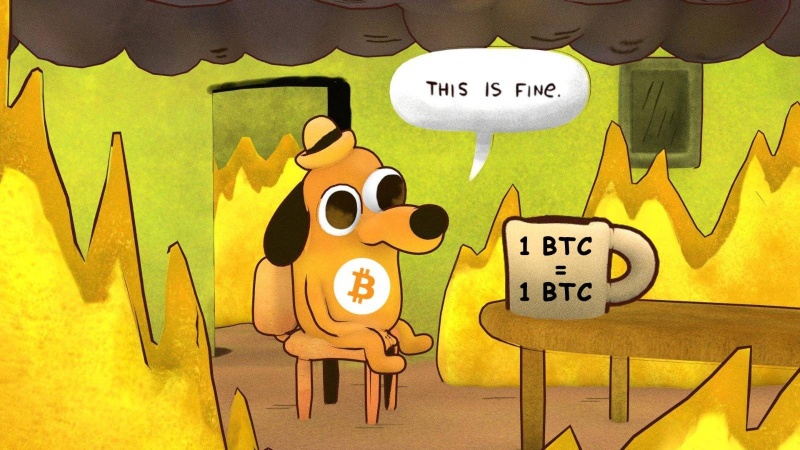 Afbeeldingslocatie: https://tweakers.net/i/K3RuveG9FopY9YkhcUUqYN7Rngc=/800x/filters:strip_icc():strip_exif()/f/image/hHLSM3HDIemT4u6FgaMWqLBI.jpg?f=fotoalbum_large