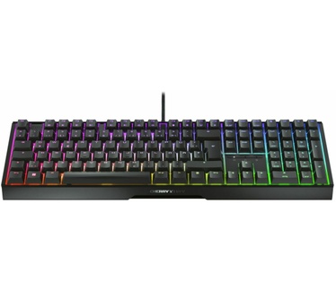 Xtrfy MX 3.1