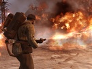 Company of Heroes 2