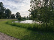 Sony Xperia 1 VIII Cameratest - Hoofdcamera overdag