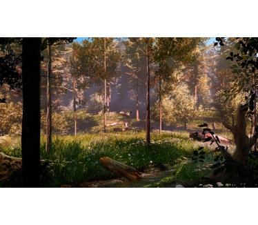 Whisper Ari, The Bold Rider