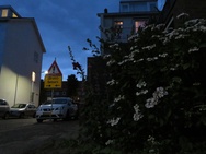 Fotovergelijking compactcamera versus smartphone - Canon SX720 HS