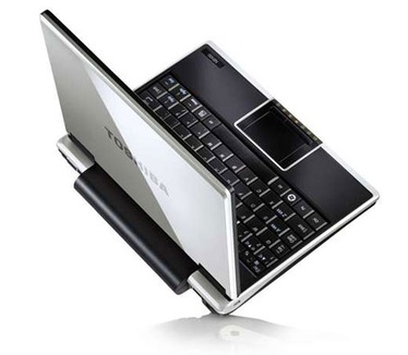 Toshiba NB100 Zilver