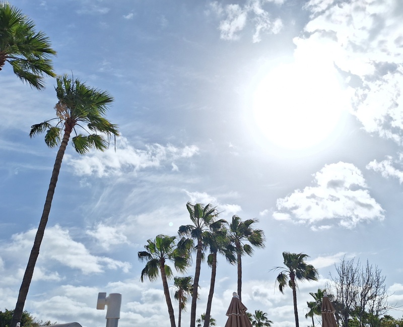 Afbeeldingslocatie: https://tweakers.net/i/K6MecZcic12QqvKkkzDfY85MRc4=/800x/filters:strip_icc():strip_exif()/f/image/3pQhZDVH933bm2KwYYxrCtaH.jpg?f=fotoalbum_large