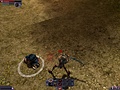 Review The Chronicles of Spellborn