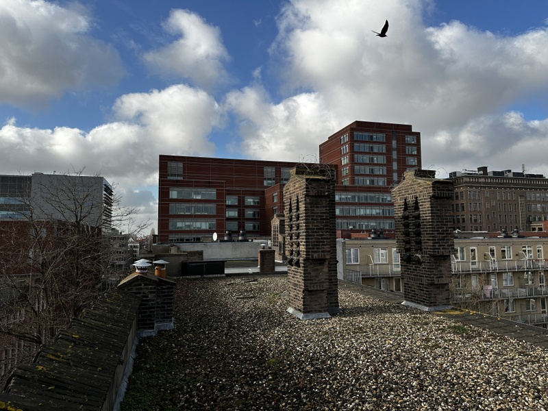 Afbeeldingslocatie: https://tweakers.net/i/K7Z26xDQV9LZzEwAU0_D8kUoVpE=/800x/filters:strip_icc():strip_exif()/f/image/BbEmEPytxmszt7RWiDiBkgoZ.jpg?f=fotoalbum_large