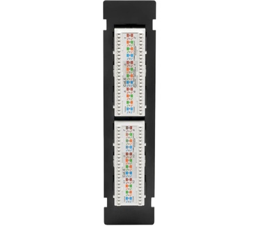Tripp-Lite N250-P12