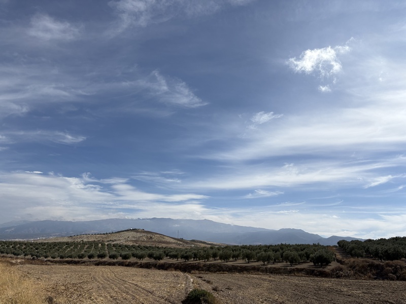 Afbeeldingslocatie: https://tweakers.net/i/KB1Me0j2DSikCJTttU1TPGOGOgw=/800x/filters:strip_icc():strip_exif()/f/image/0Wpetvq8nItdJQ522Q7iptB4.jpg?f=fotoalbum_large