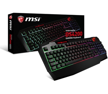 MSI Interceptor DS4200 (Qwerty)