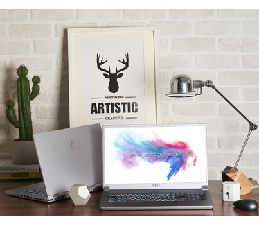 MSI P75 9SE-475BE Creator