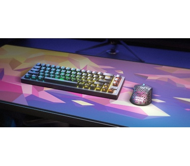 Xtrfy GP5 Litus XL Roze